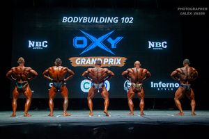 BODYBUILDING 102